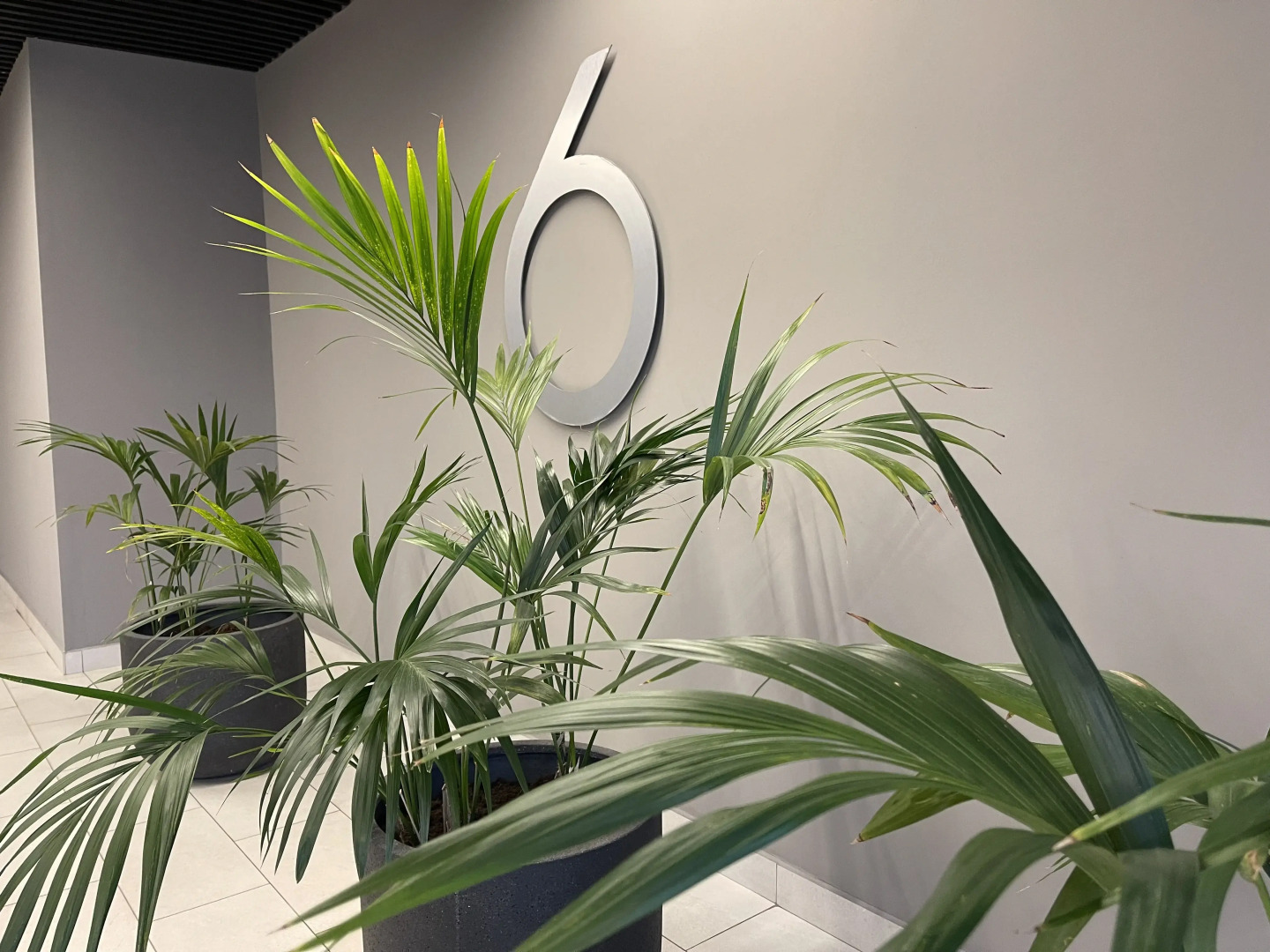 Апартаменты Светлый Люкс Вернадка