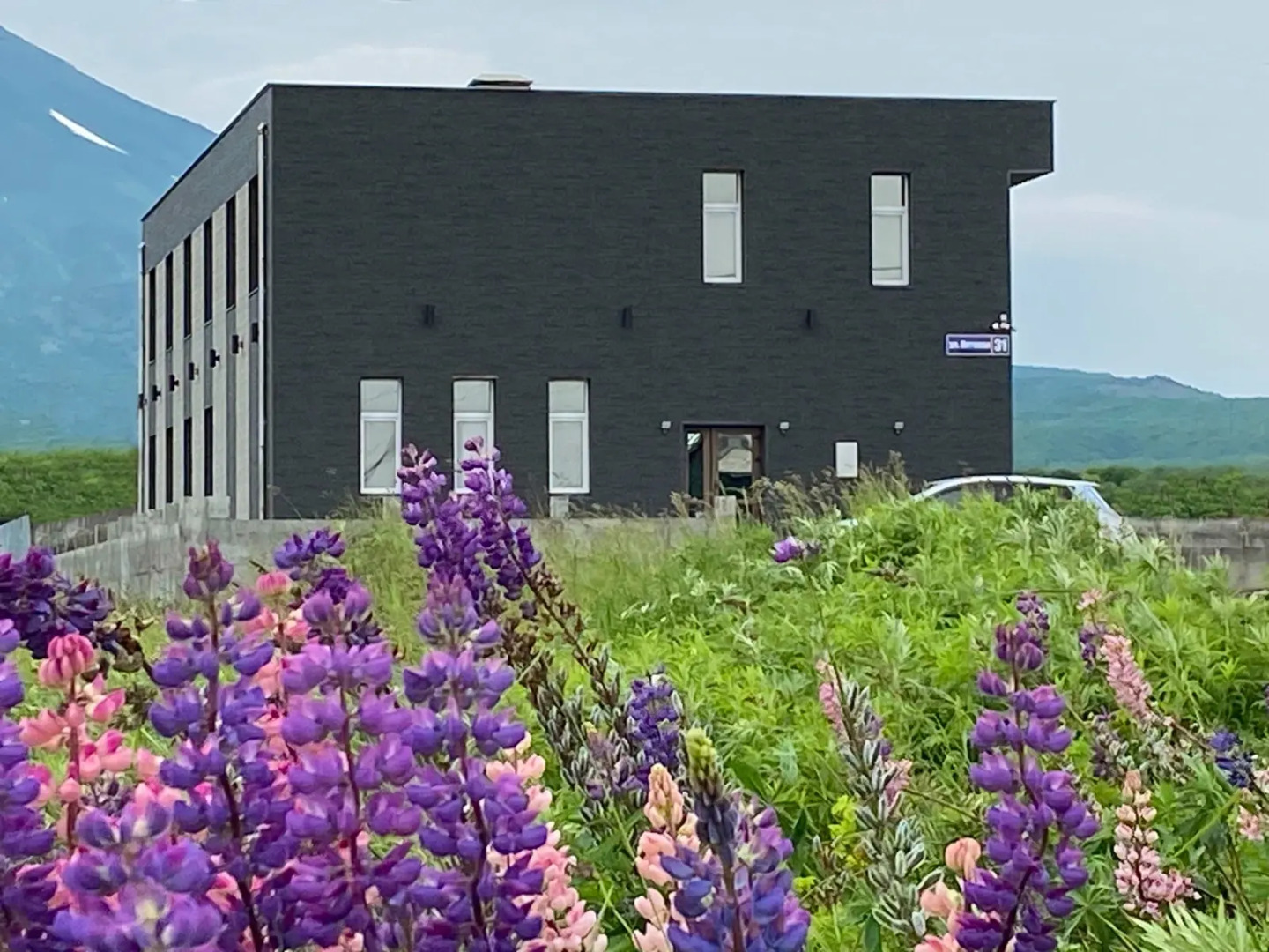 Мини-отель ТомОри