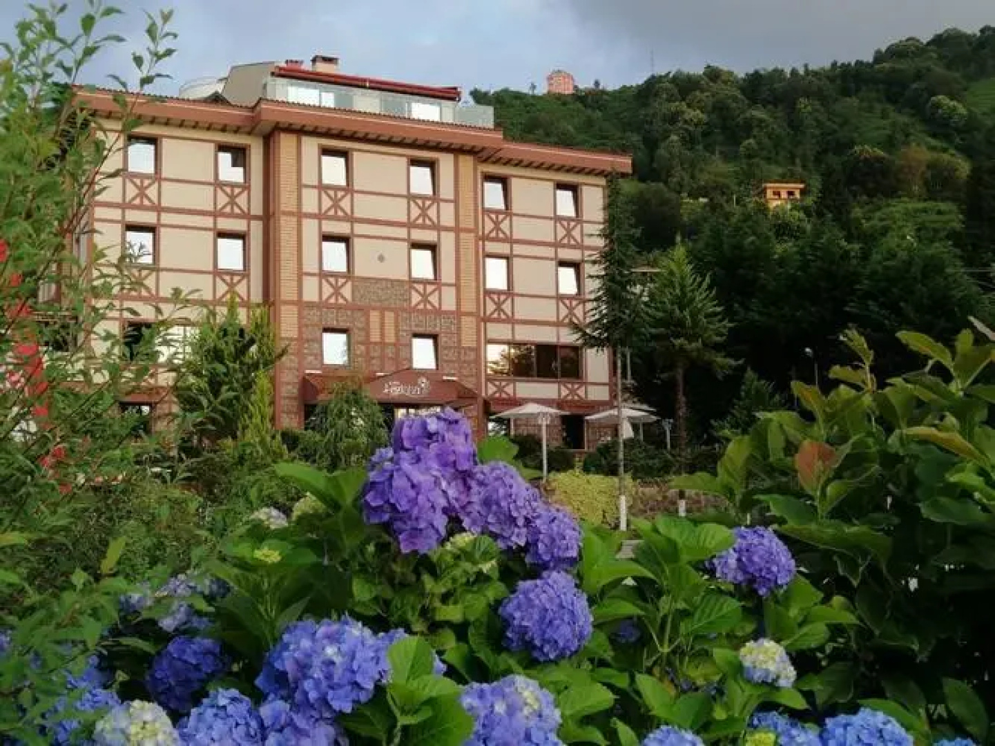 Отель Lazlakar