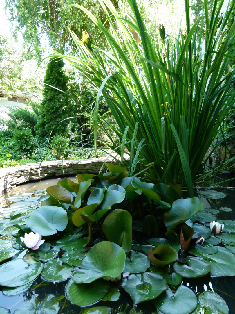 Гостевой Дом на Площади Захарова