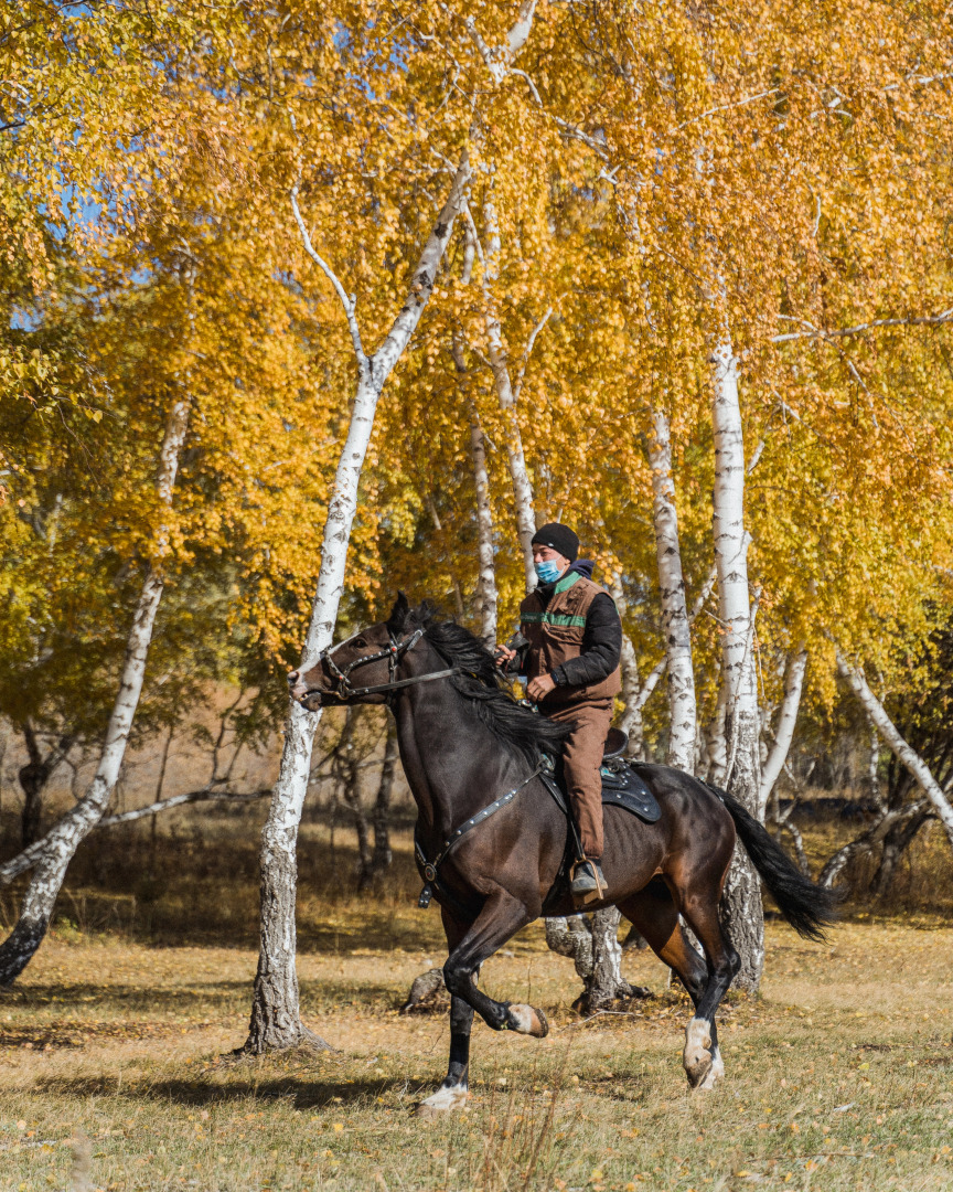 База отдыха Балкарагай