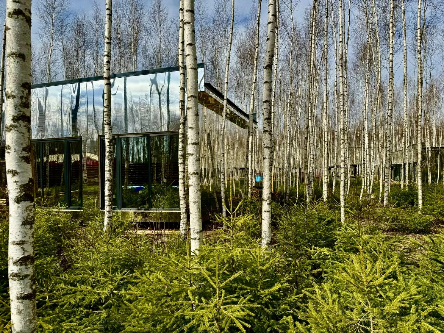 Гостевой дом Мы дома Зеркальный лес