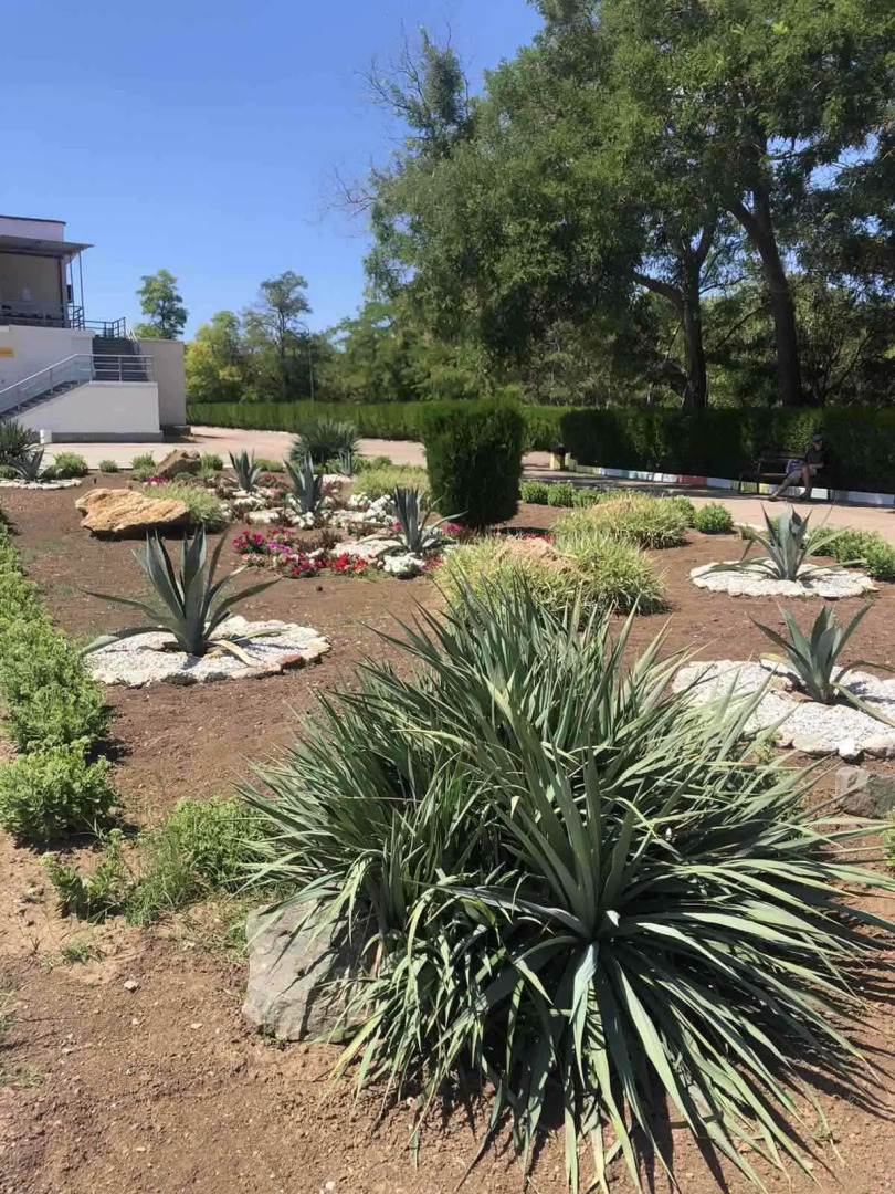 Санаторий Международный Детский Медицинский Центр Чайка