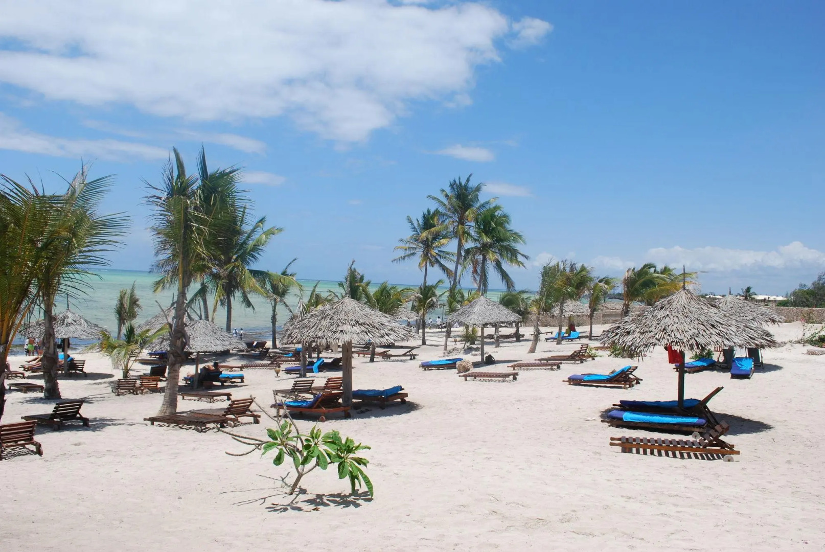 Отель Jumbo Watamu All Inclusive