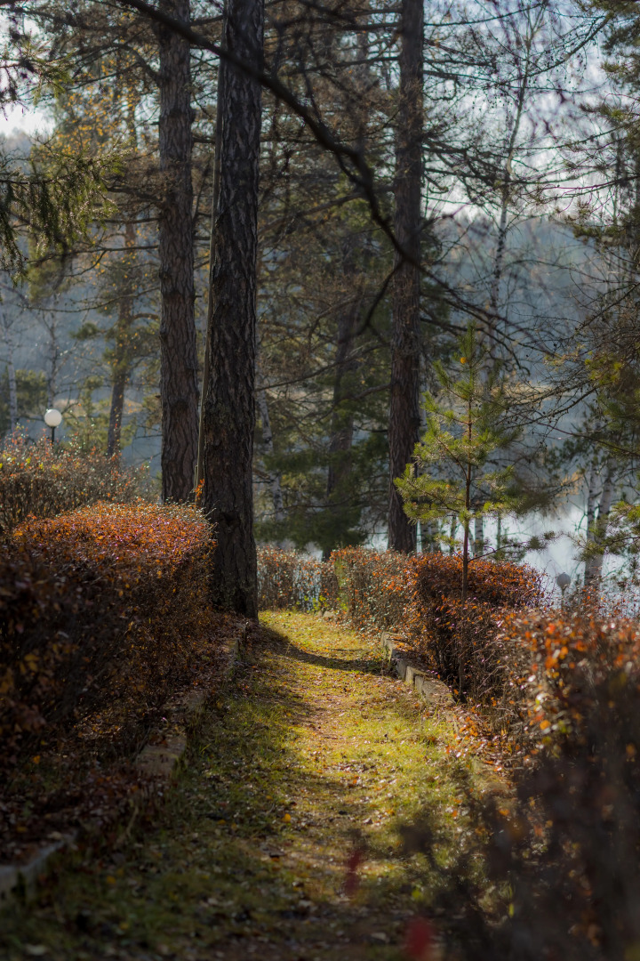 Санаторий-профилакторий Кошкуль