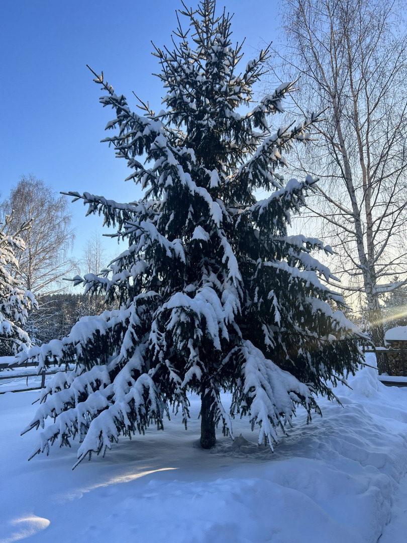 Частный дом Отдых на природе
