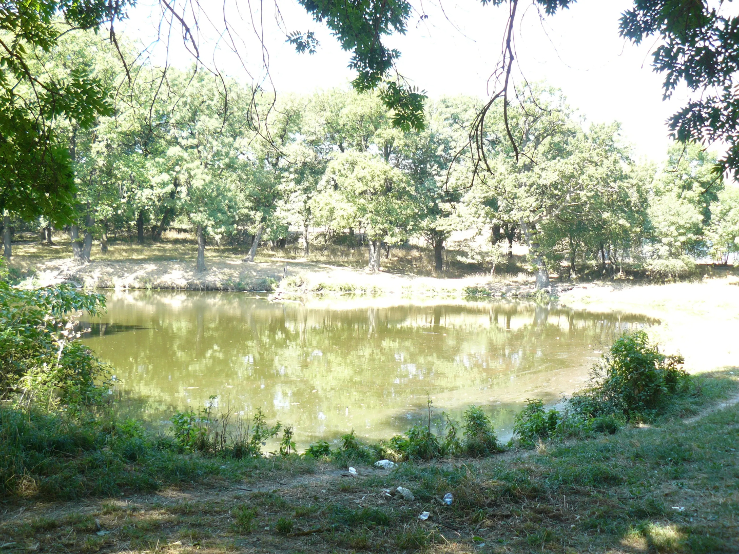 Отель Динамо