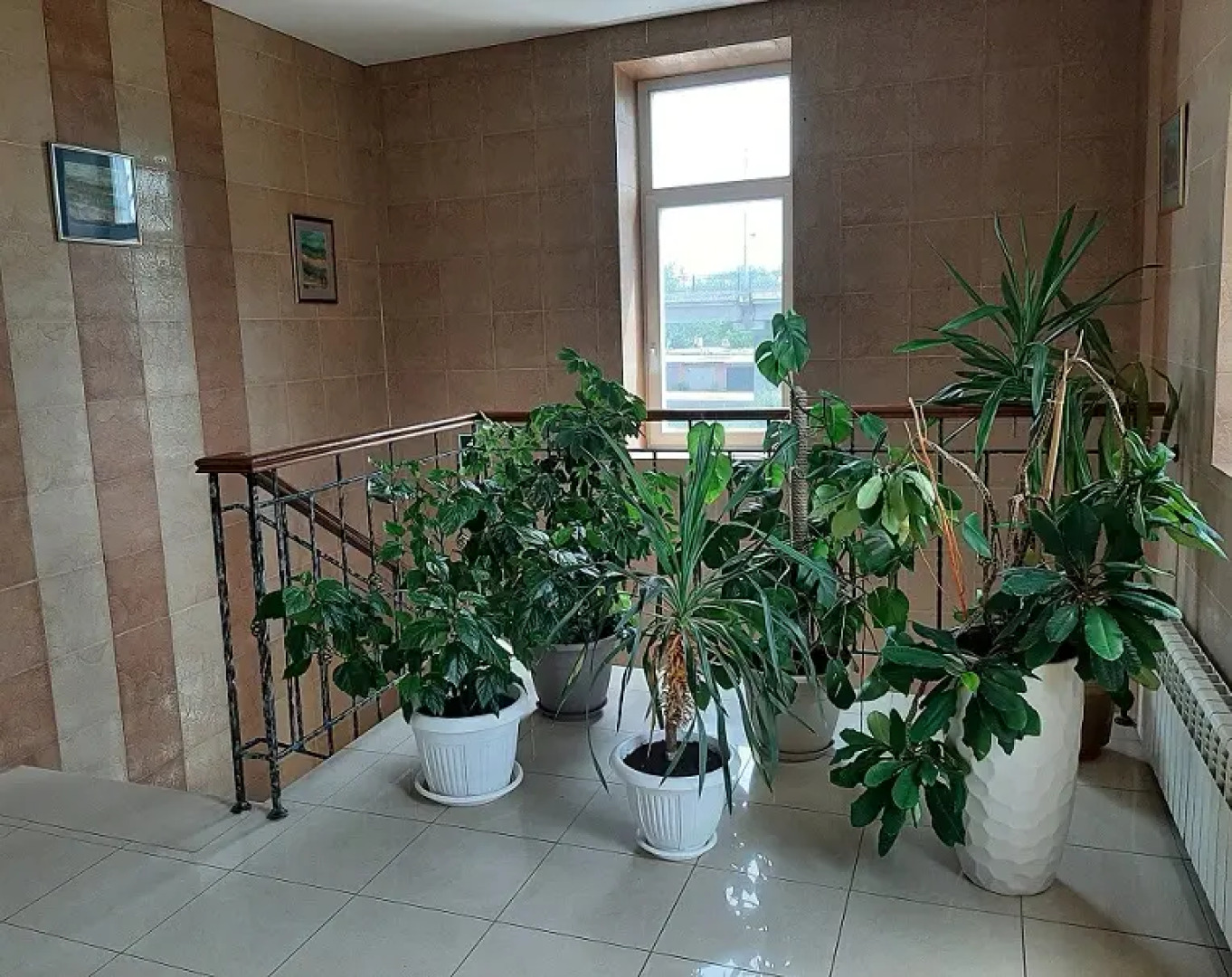 Гостинично-ресторанный комплекс «Альберт Отель»