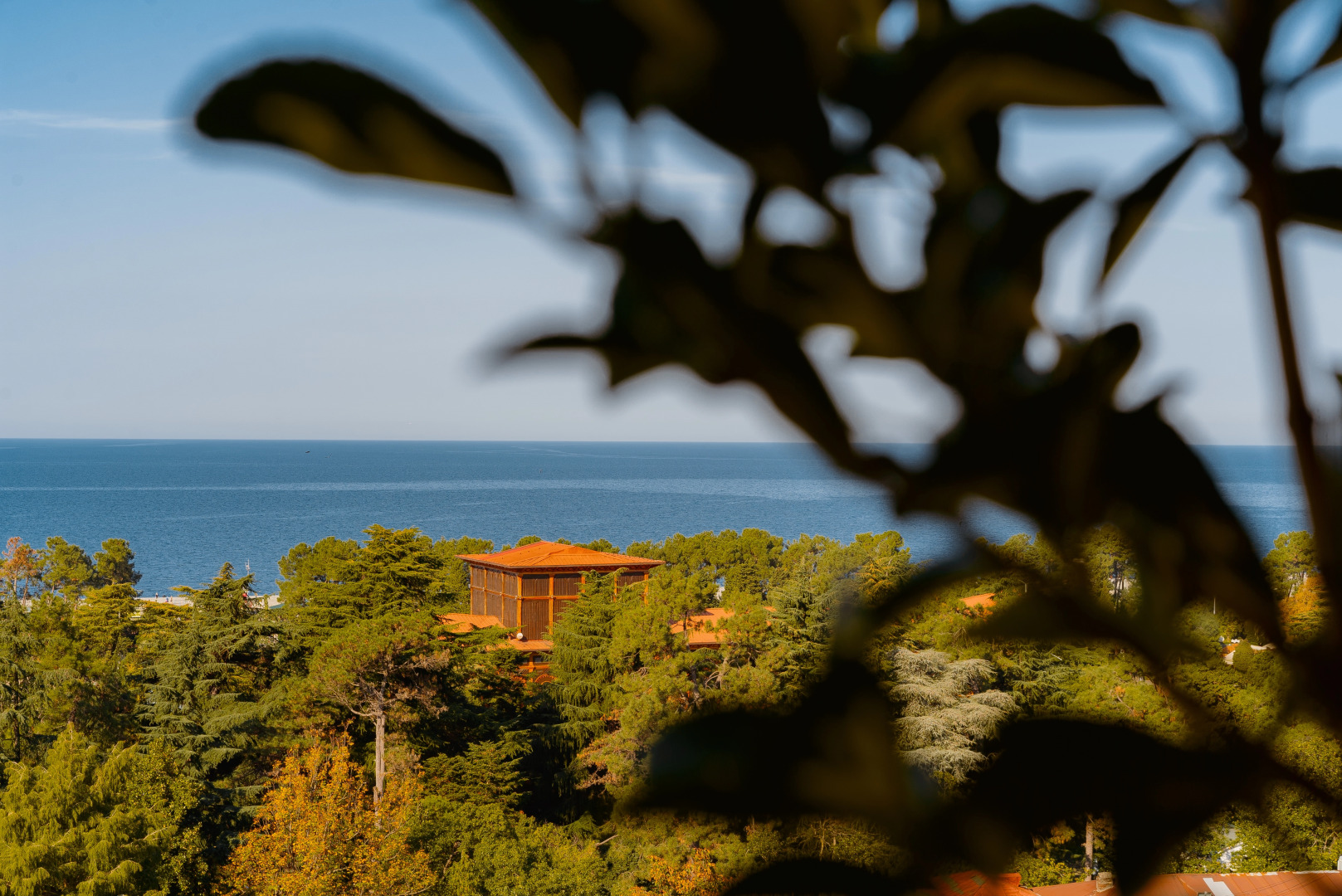 Бутик-отель Tapis Rouge Design Boutique batumi