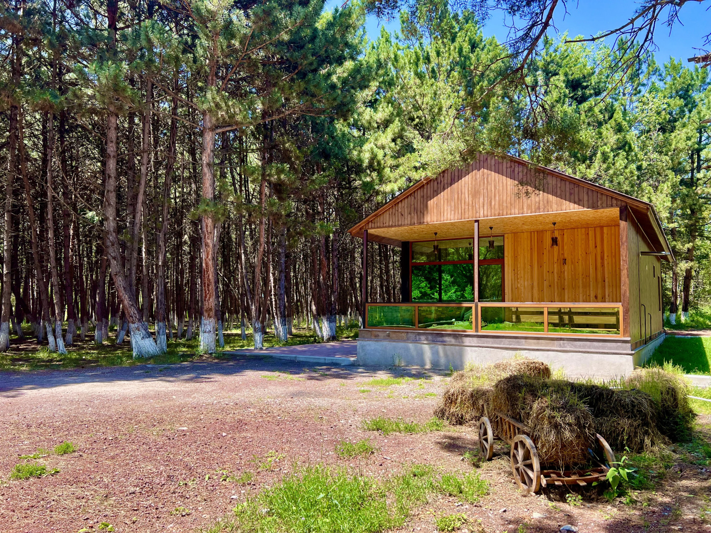 Курортный отель Milenium