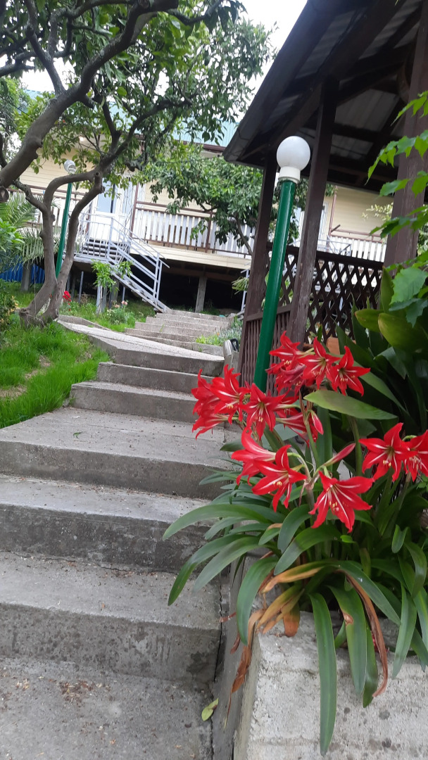 Гостевой дом Мандариновый Рай