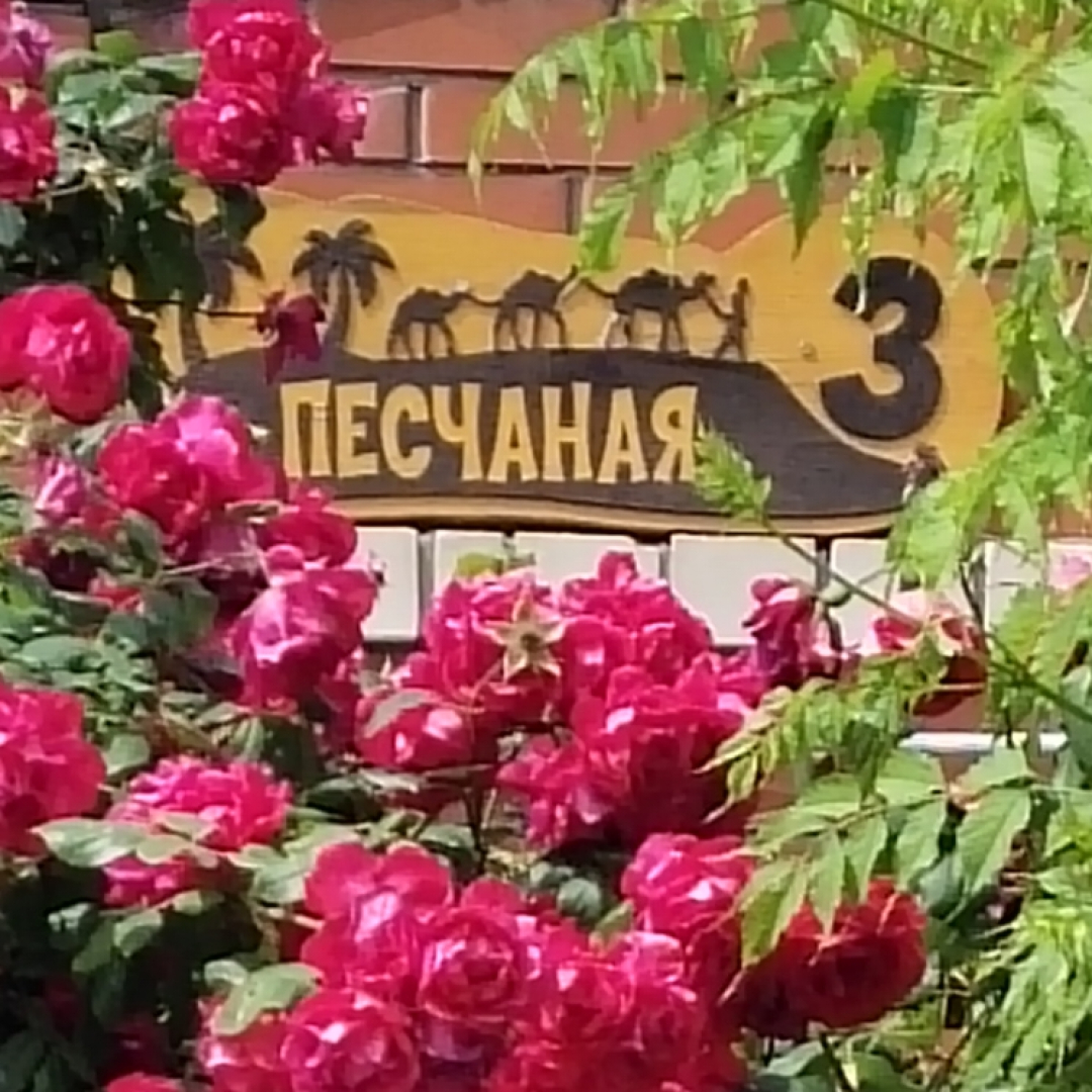 Жилое помещение Песчаная