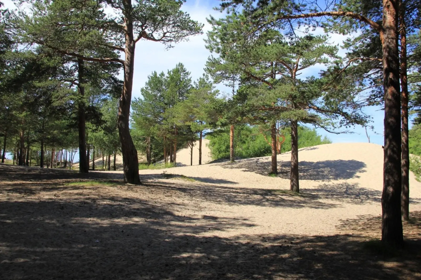 Апартаменты SeveRent в ЖК Нахимов 79