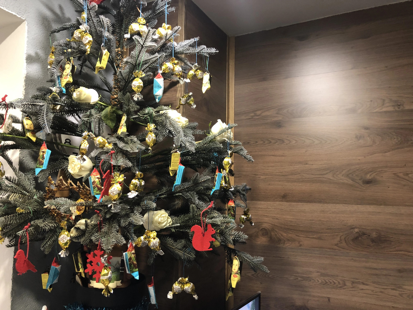 Хостел Олимпия