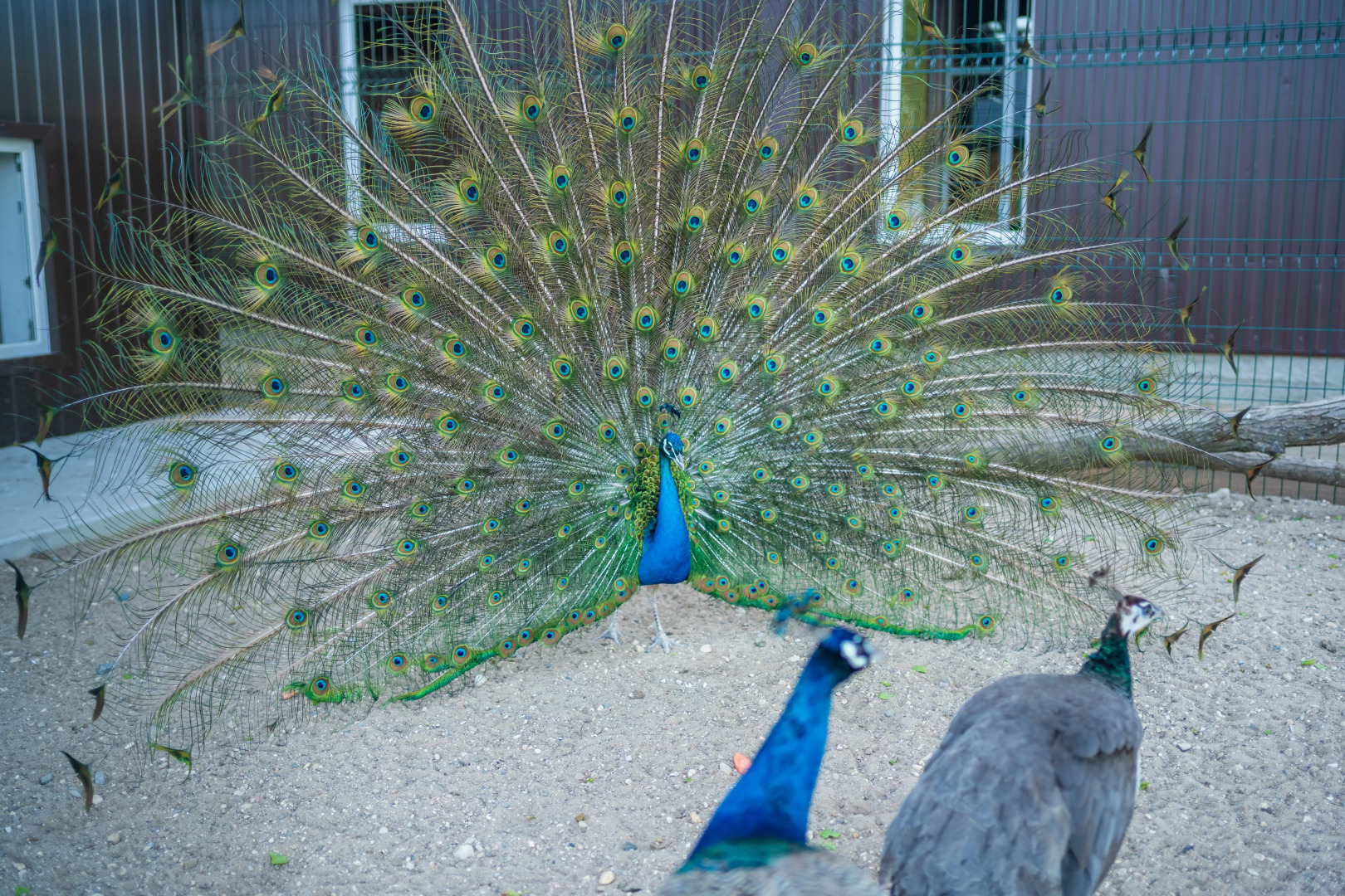 Отель Комплекc Загородного отдыха  Место 7