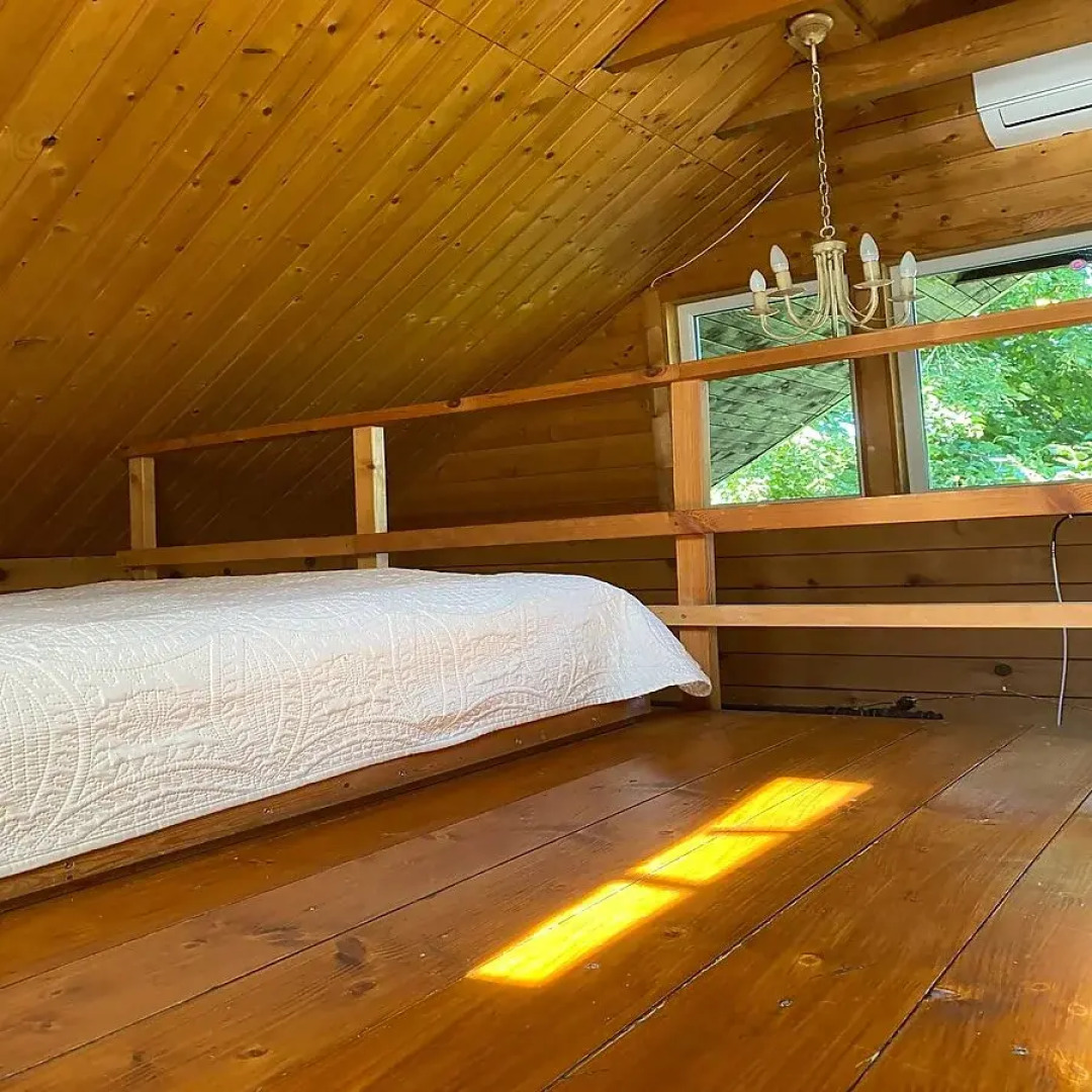 Шале Дрозды