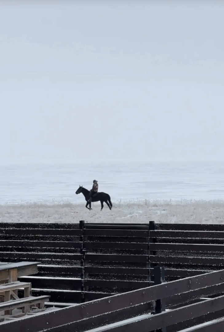 Частный дом на берегу Волги