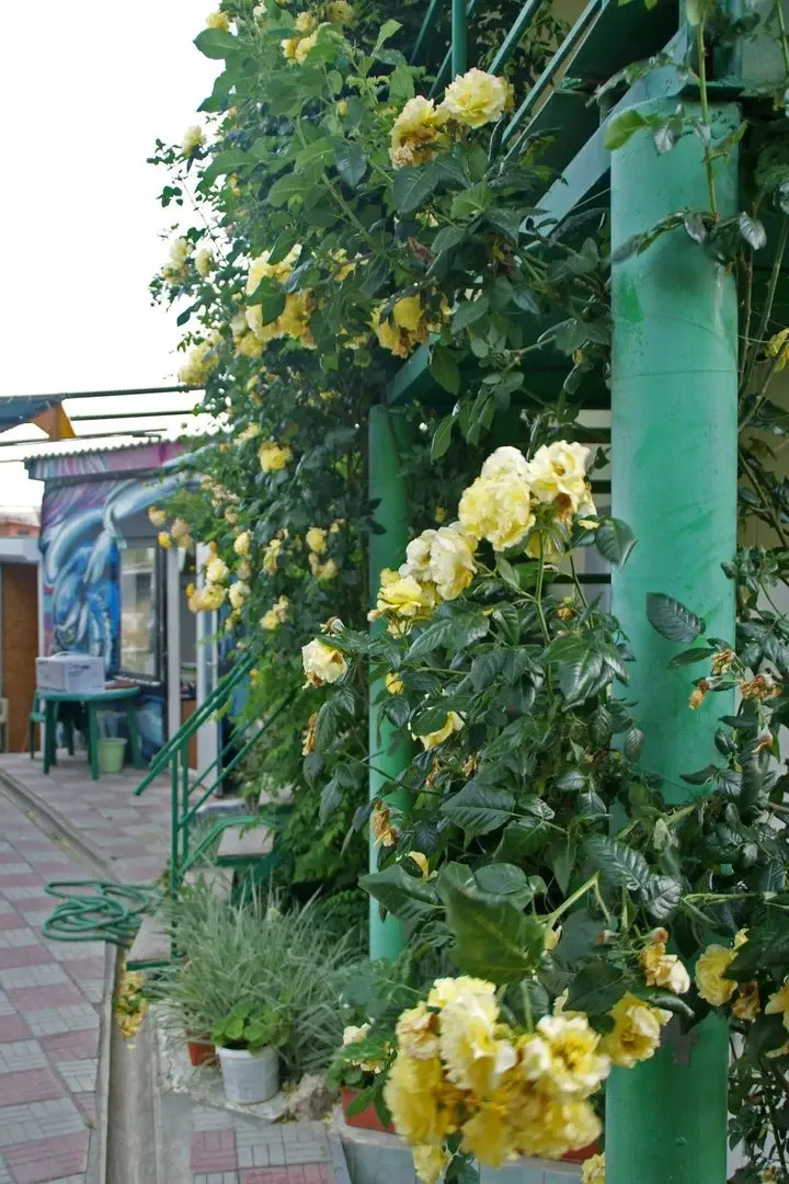 Хостел Судак