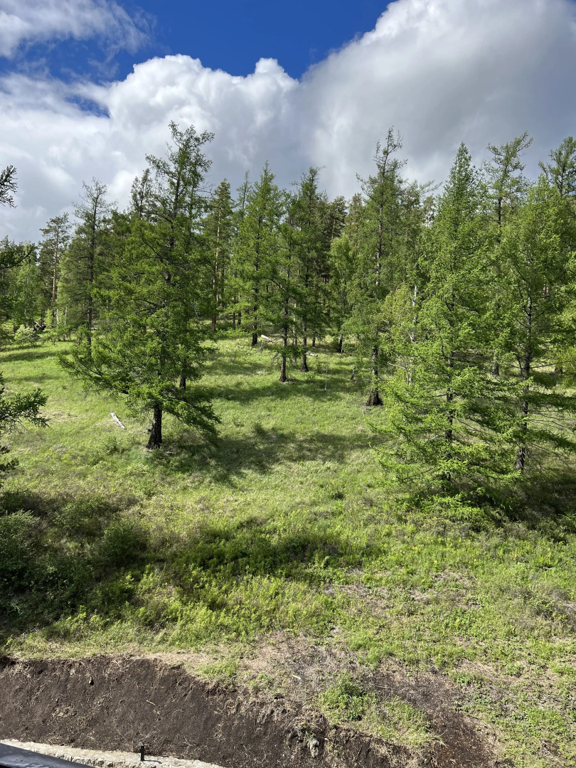 Апартаменты 722 в Business Residence