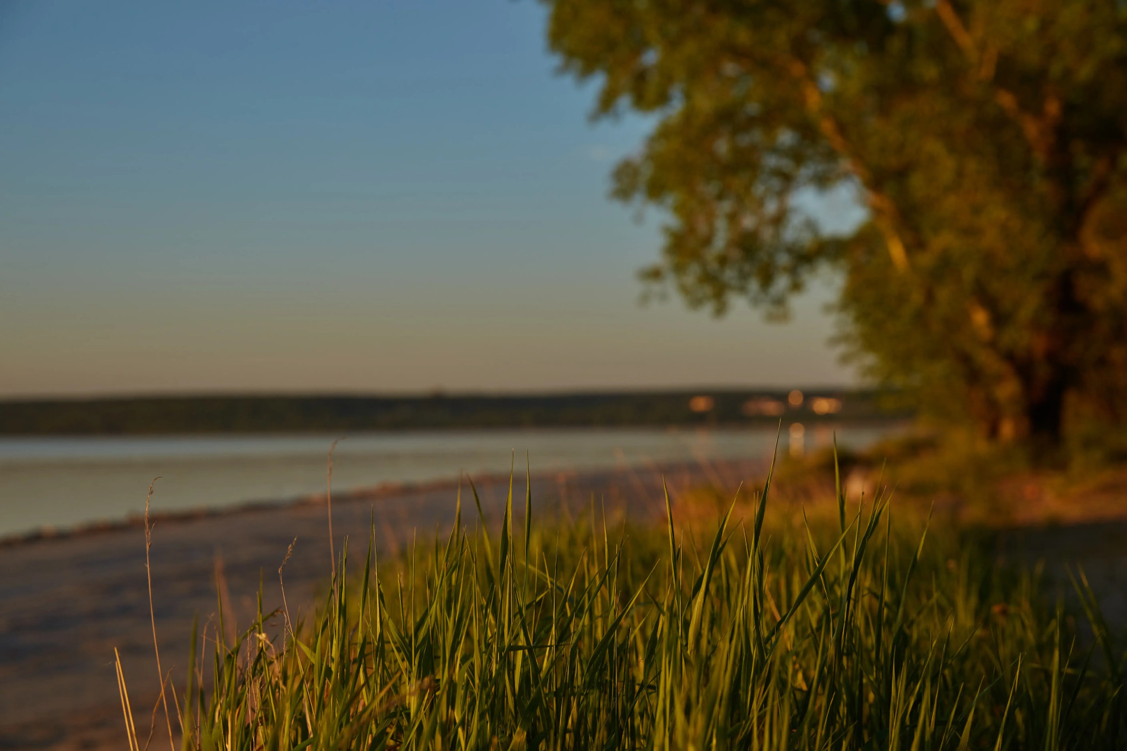 Апартаменты Сказочный Лес