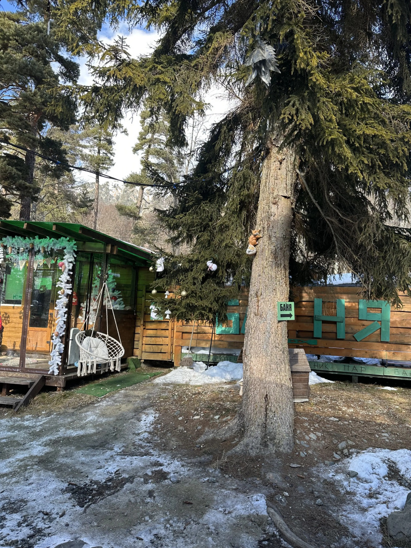 База отдыха Тайга-House