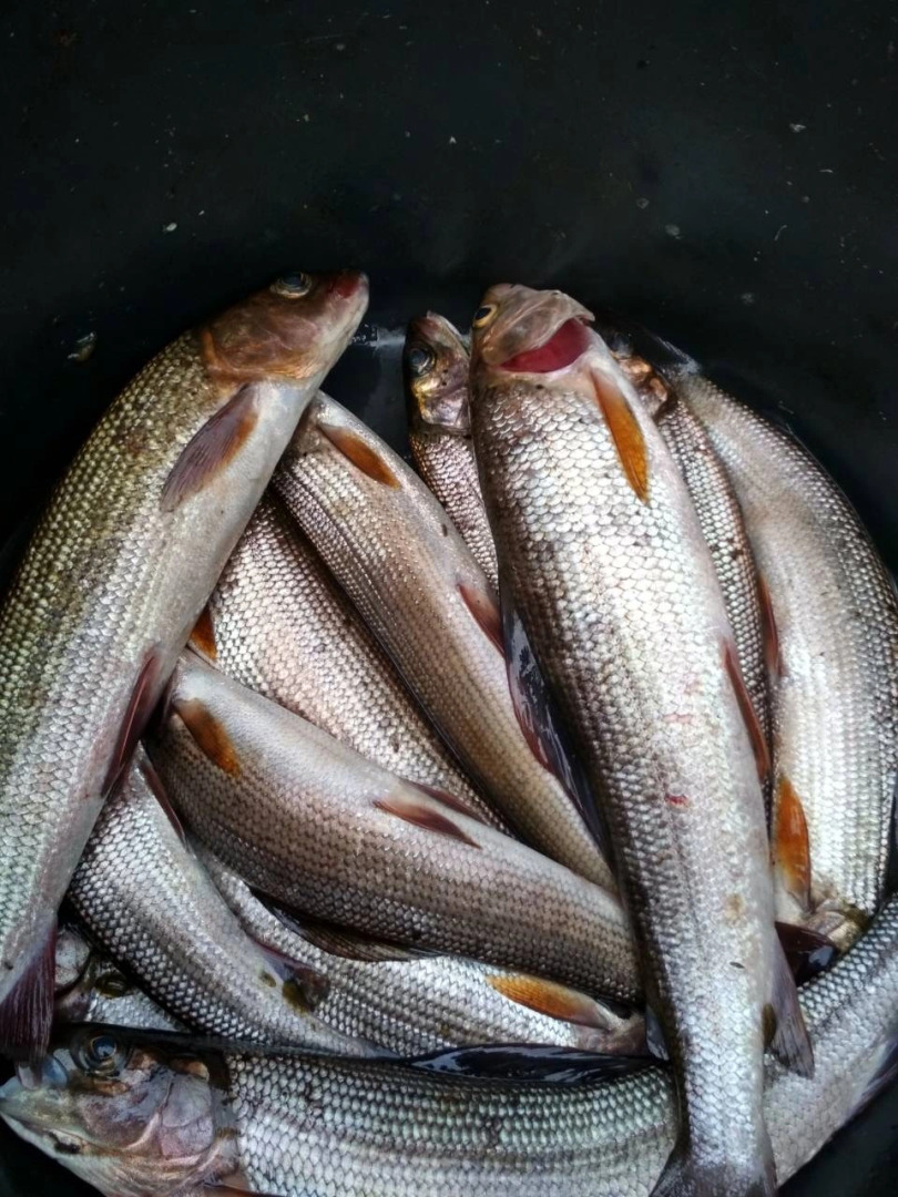 Гостевой дом Дом в Карелии