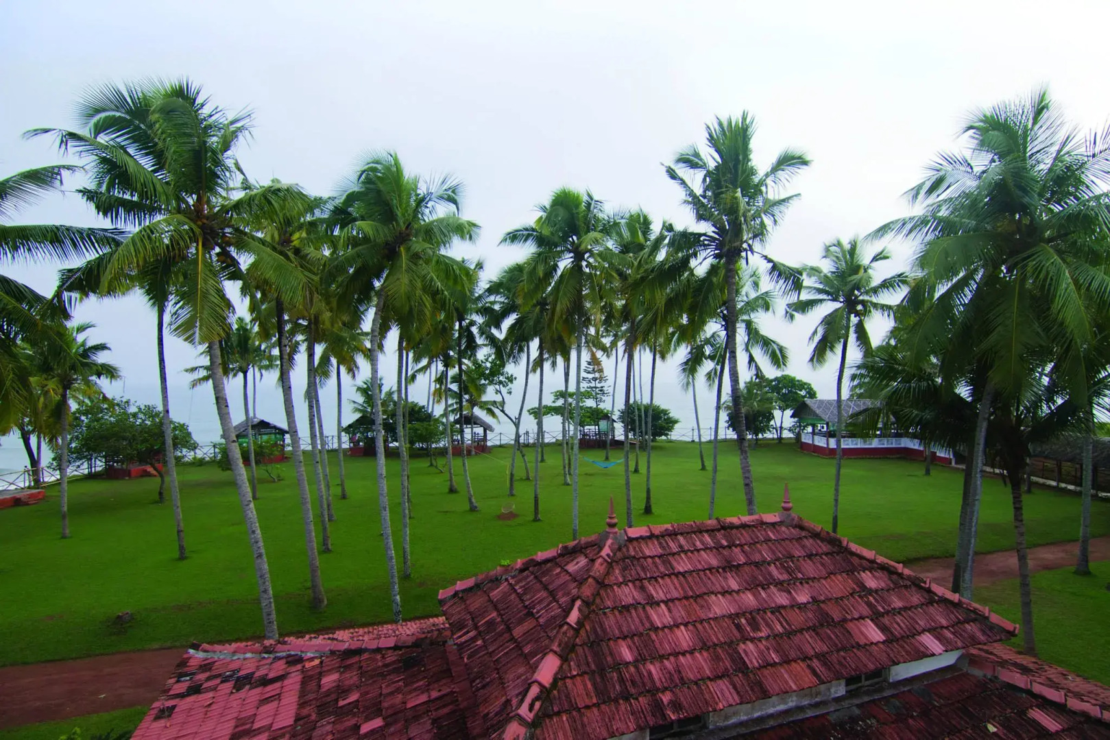 Отель Blooming Bay - Clifftop Beach Resort