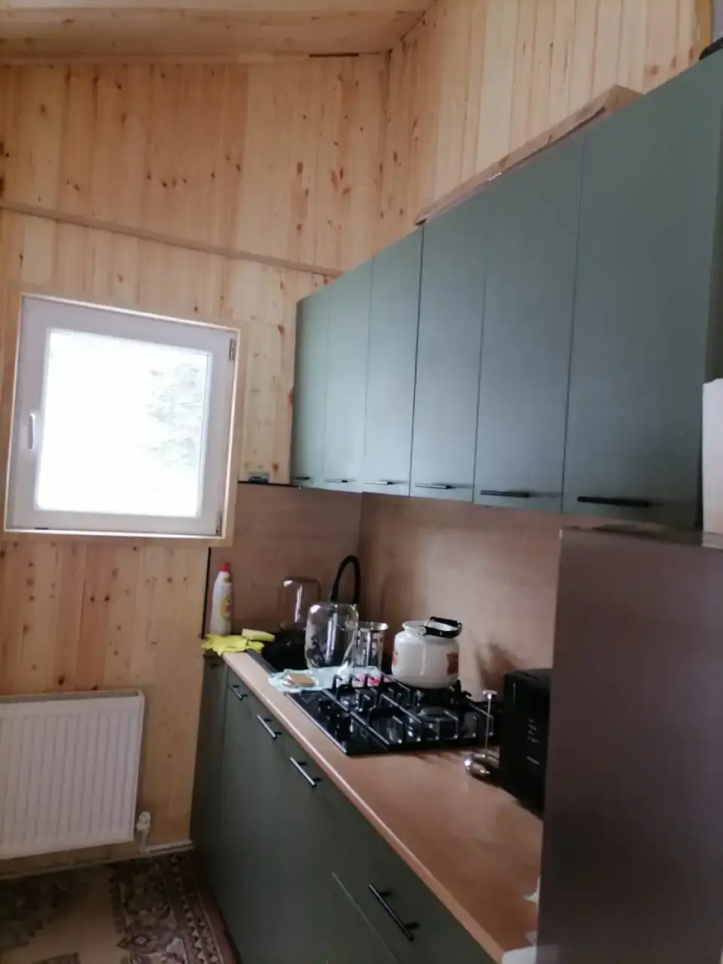 Шале Лес хрустальной песни 1