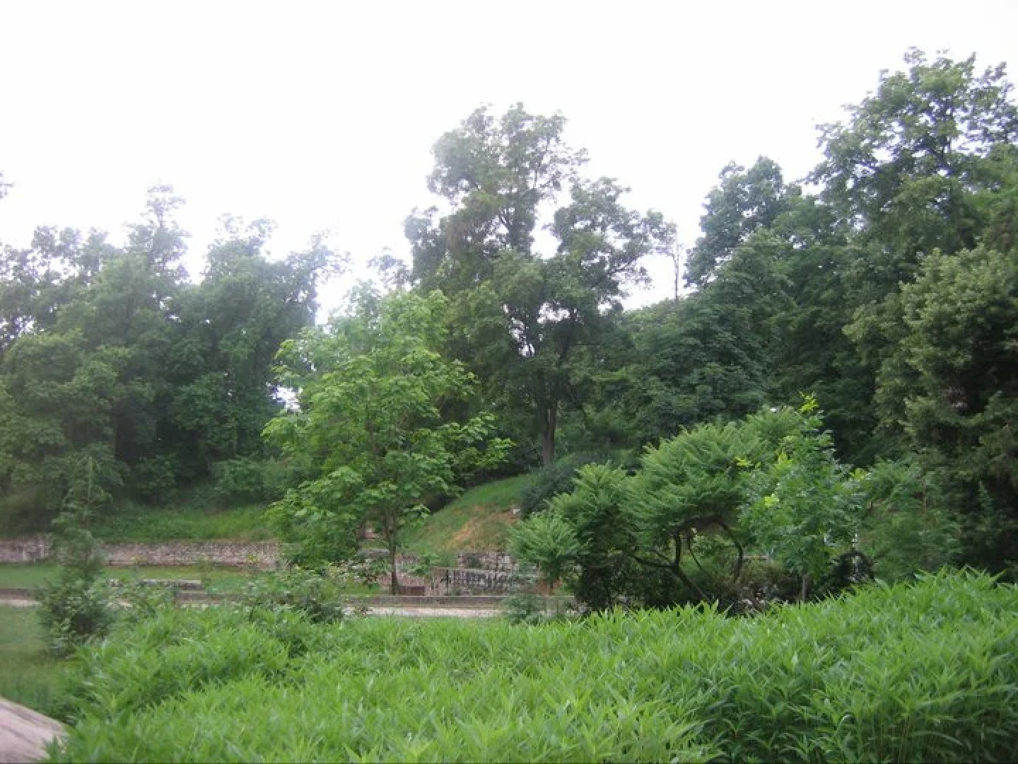 Отель Чинар