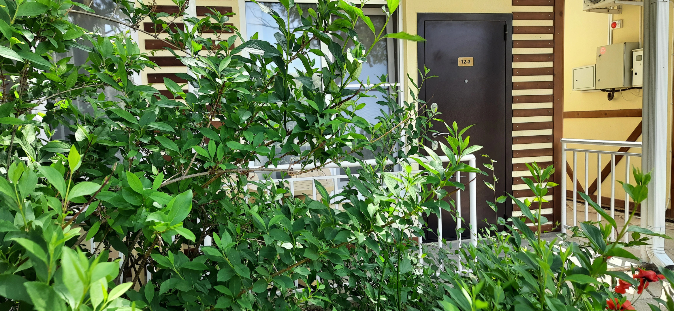 Отель Солнечный берег