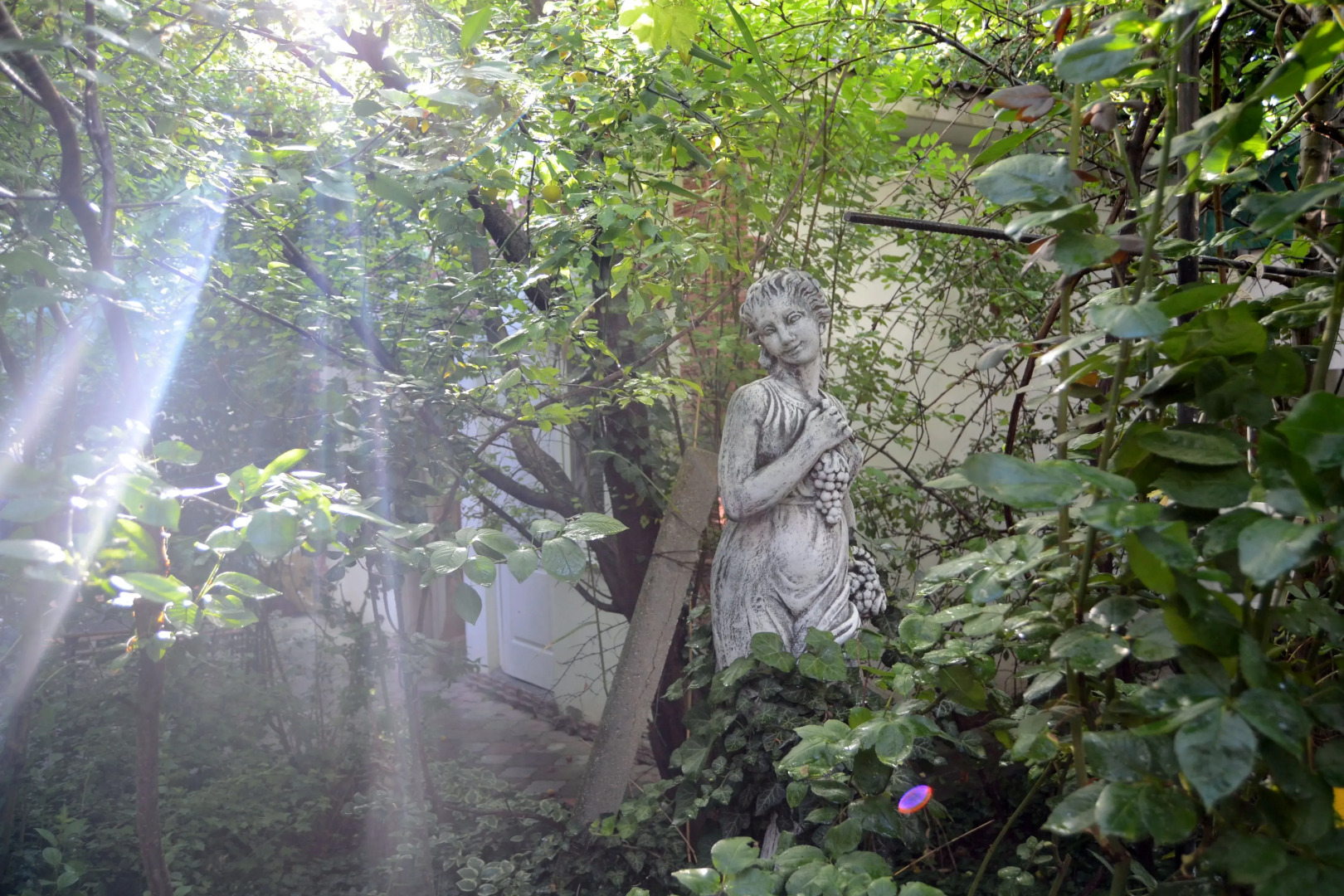 Гостевой Дом Viktoria