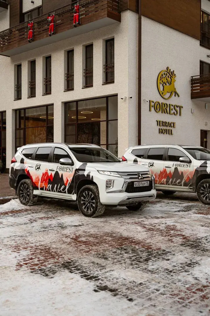 Отель Forrest Terrace