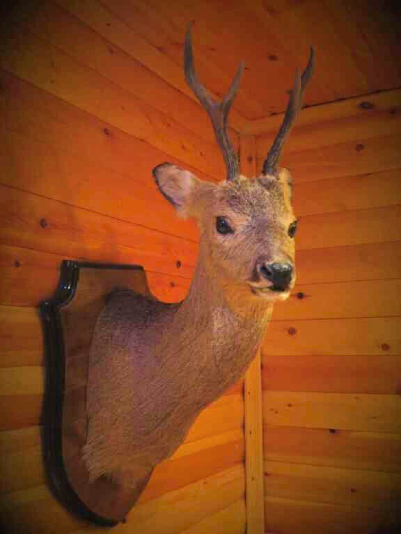 Частный дом с сауной и камином в центре Пятигорска