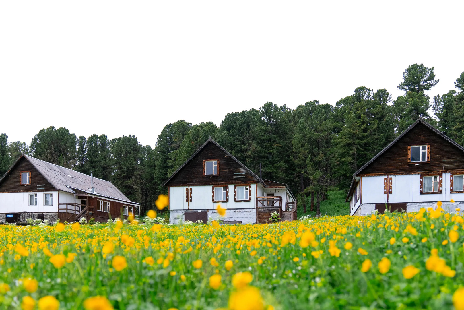 База отдыха Динамо Семинский перевал