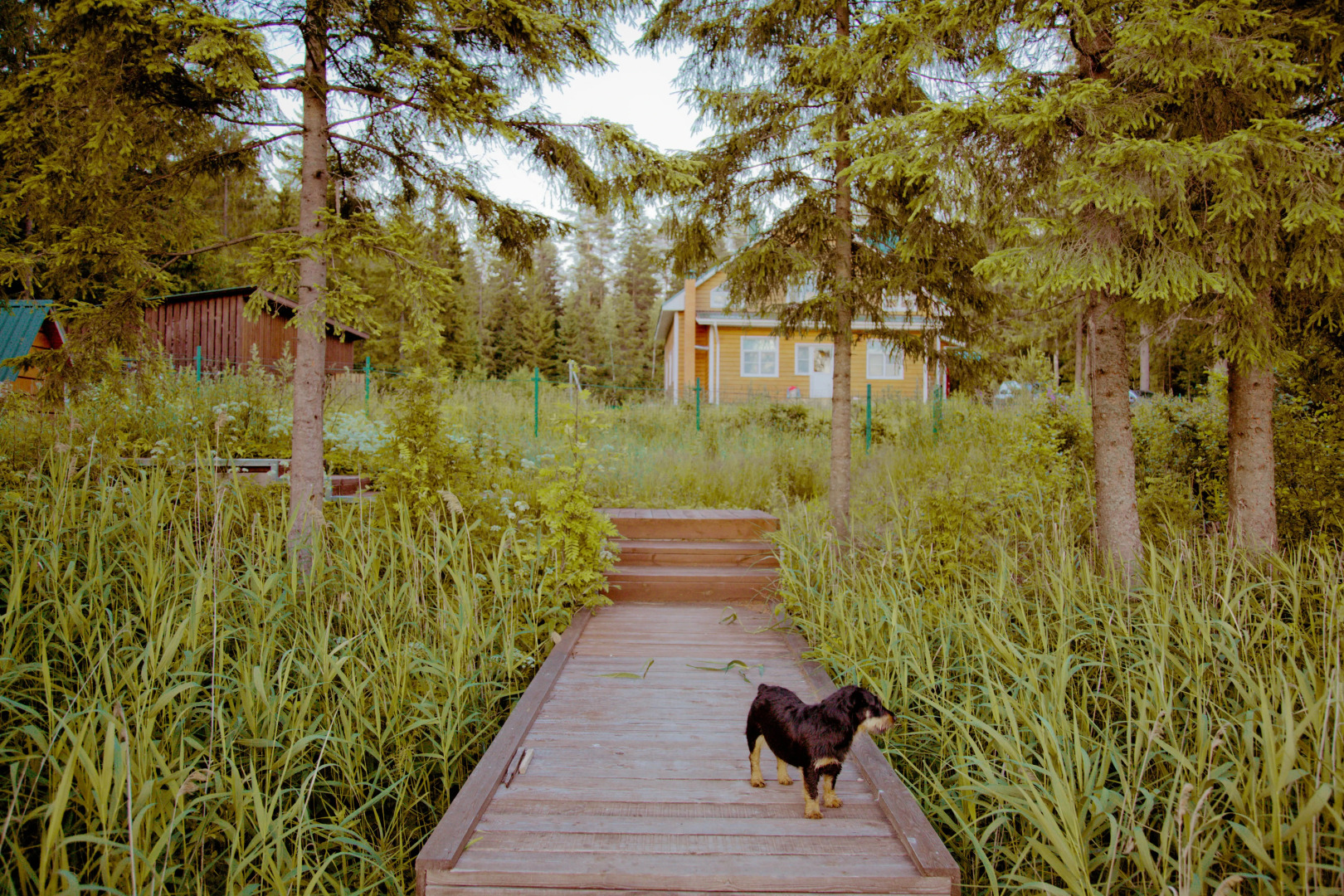 База Отдыха Лесные Дали