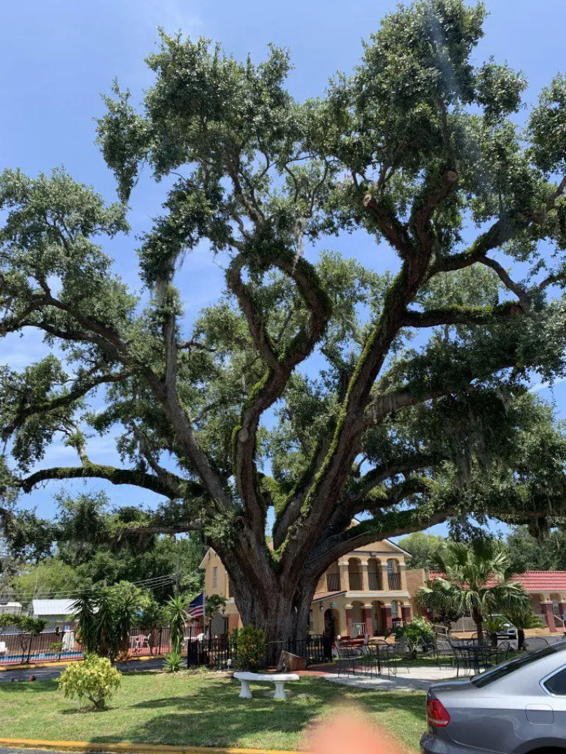 Отель Villa1565