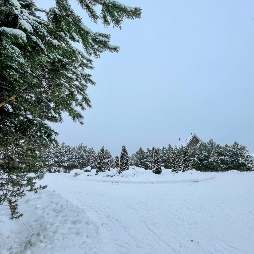 Частный дом Zagorod Moskva