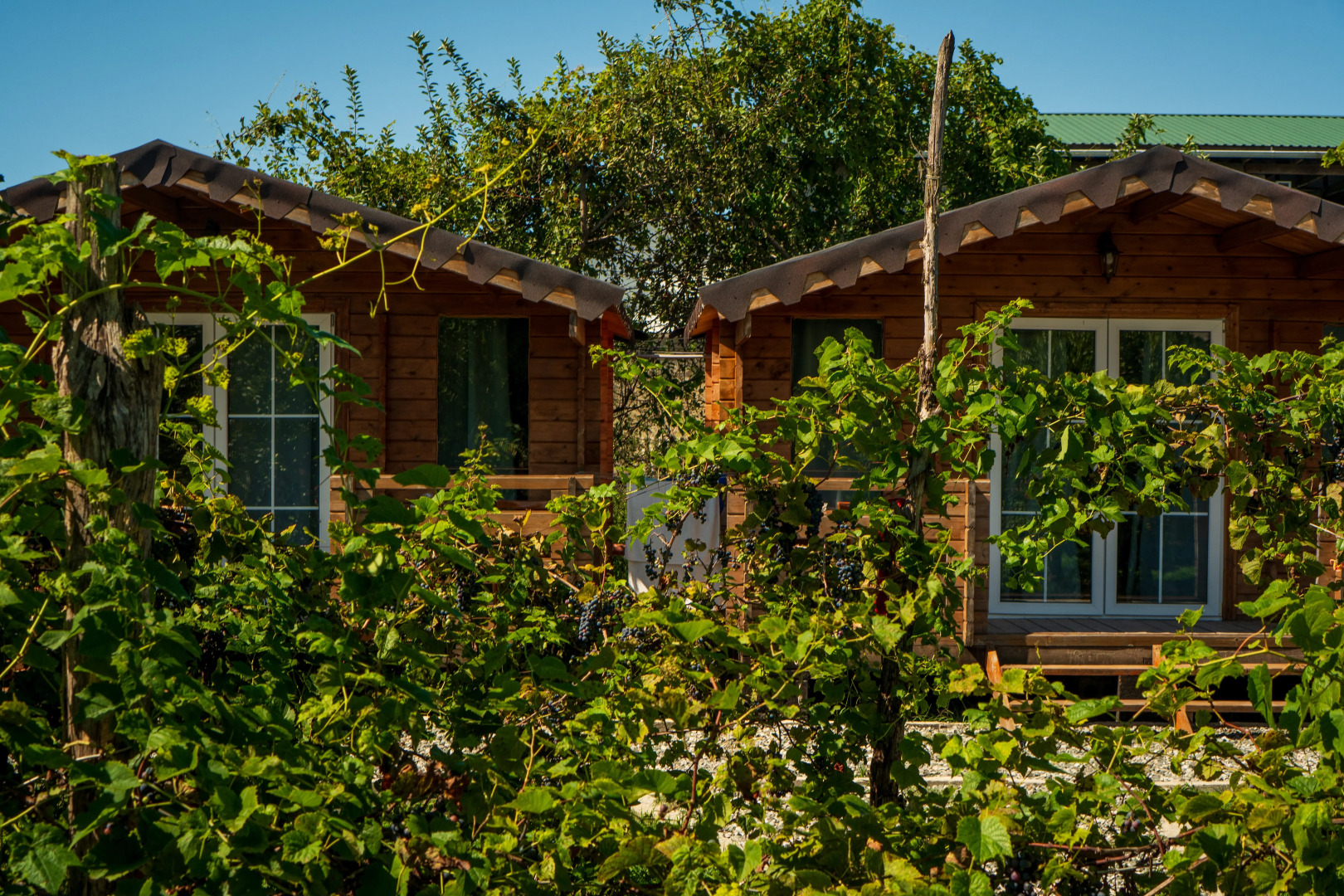 Гостевой дом Листва