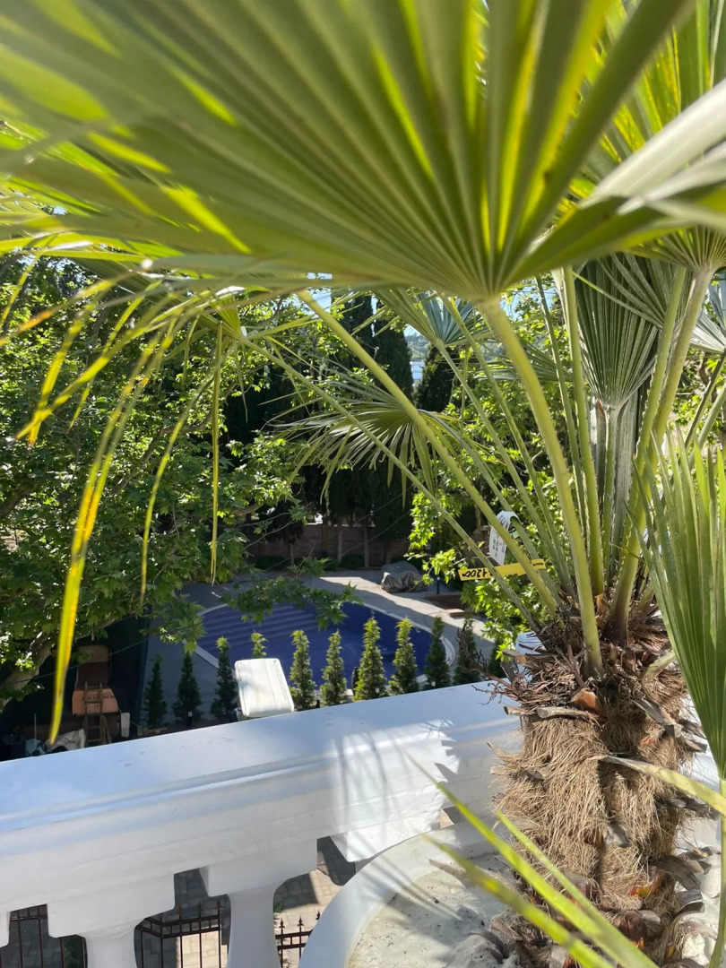 Апартаменты Двухкомнатные на Вилле Каприз