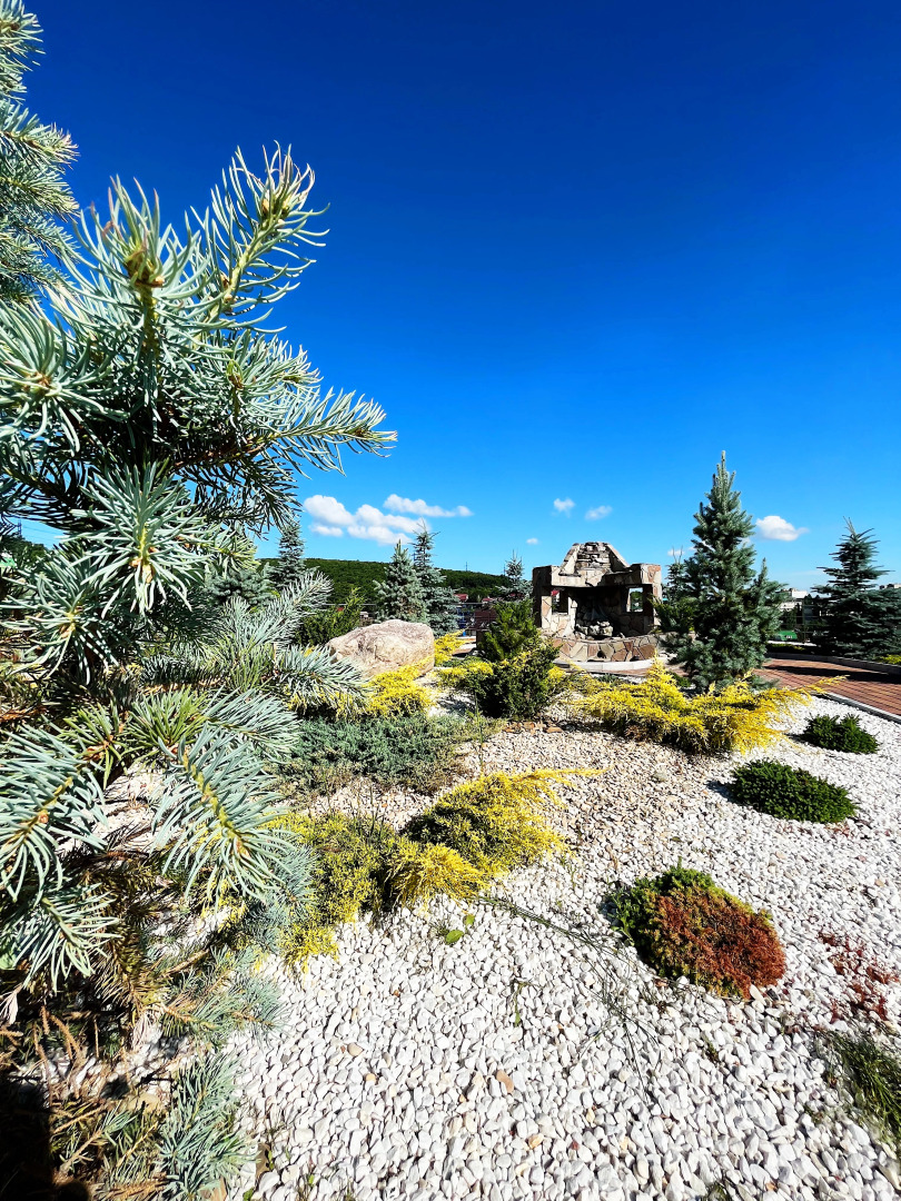 Парк-отель Вишнёвая гора