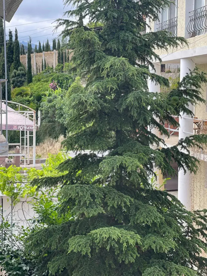 Гостевой дом 1000 Звёзд #2