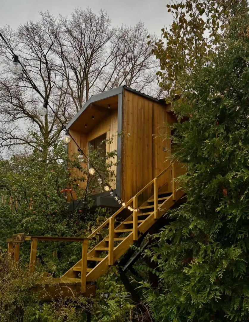 Гостевой дом Дом на дереве