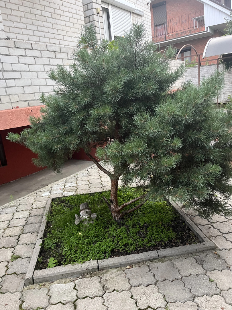 Частный дом с бассейном, сауной и камином