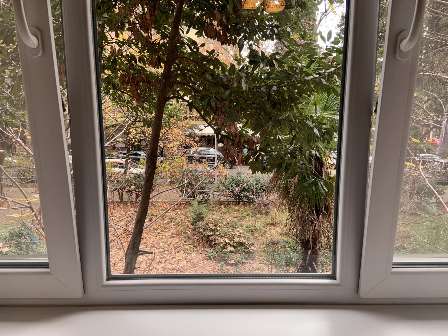 Квартира Уютная в Тихом Центре на Роз 65 10 Минут до Моря