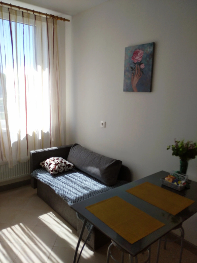 Квартира 1-ком в городе Пущино Московская область