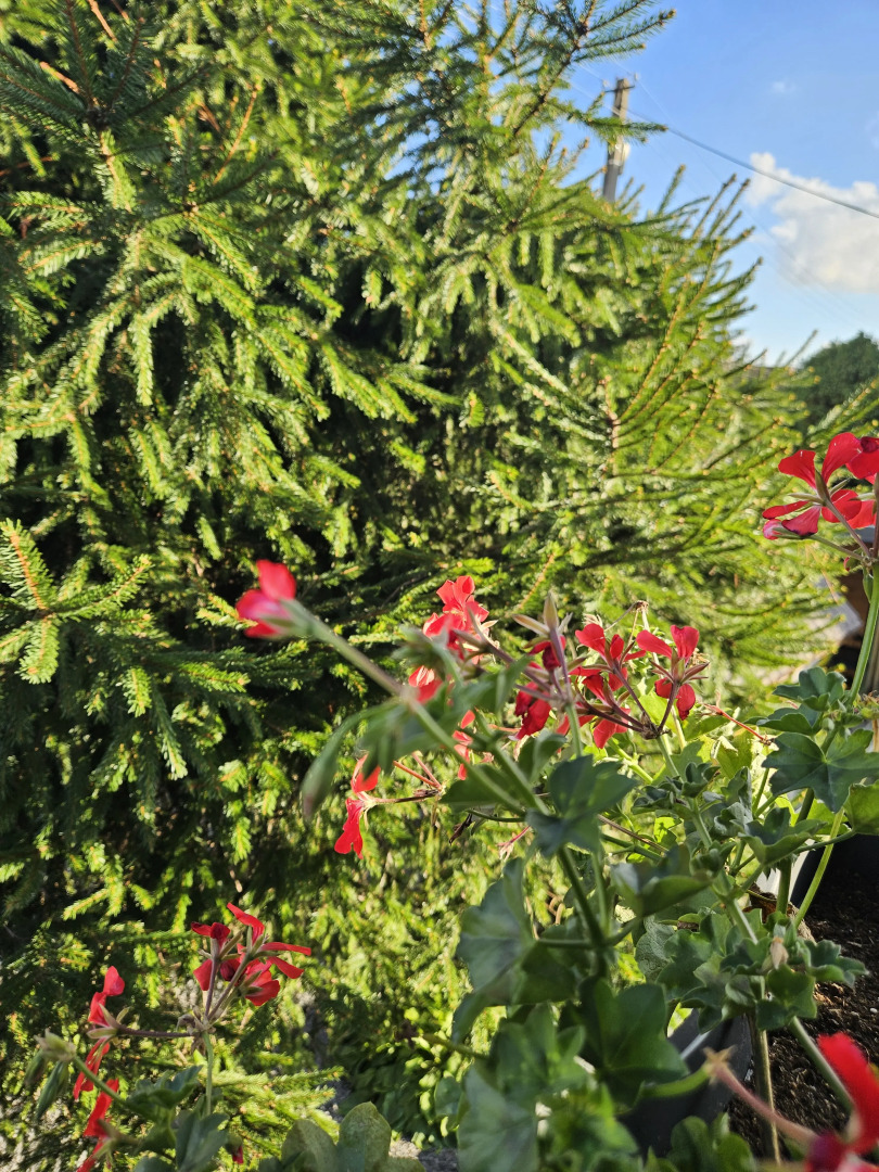 Гостевой дом Миниотелик