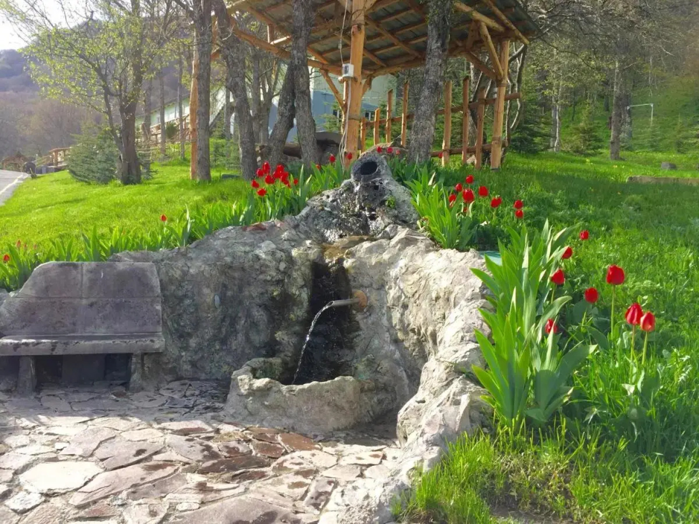 Отель Alva Hotel & Spa