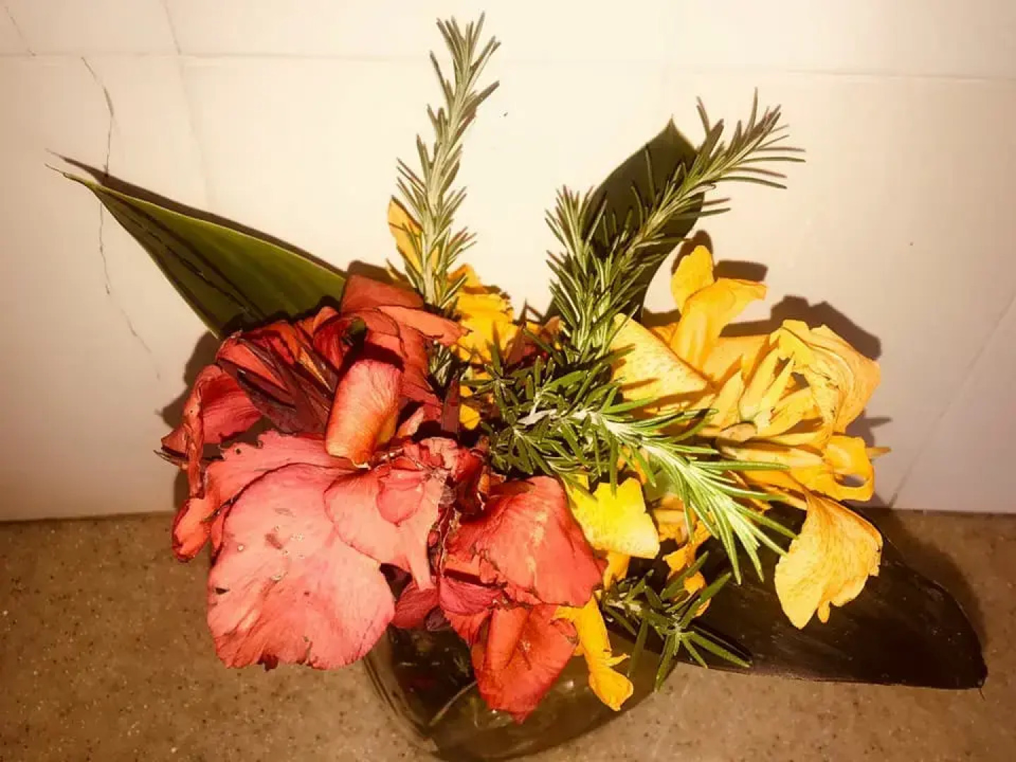 Отель The Great Circle Lodge