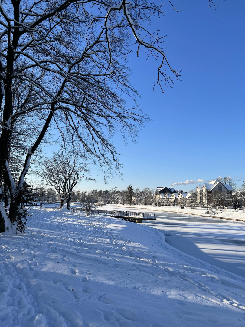 Апартаменты на улице Некрасова 3