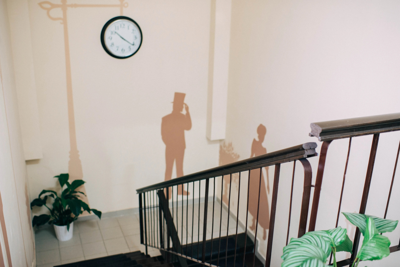 Отель Mr. Brown